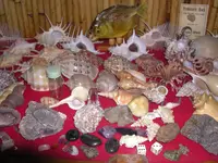 DSCN1331.webp