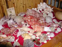 DSCN1332.webp