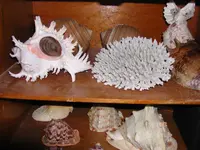 DSCN1333.webp