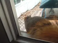 belly is full.webp