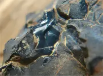 BlueObsidian5.webp