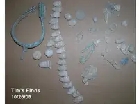 Tims Finds.webp