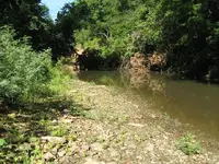 creek.webp