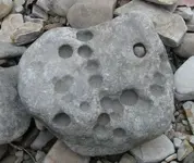 not-nuttin stone.webp