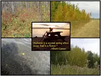 autumn.webp