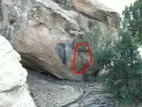 Heart.webp