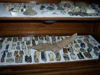 000_0080.webp