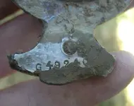 halifax 012.webp