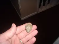 DSCF1078.webp
