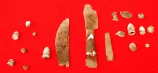 CS Finds F75s.webp