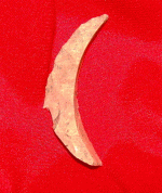 DSC09206(4).GIF