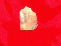 DSC09207(2).GIF