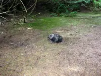 thespot.webp