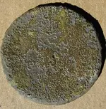 coin1A.webp