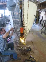 I  original stem photo HR.webp