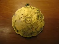 IMG_5219_2.webp IMG_5219_2.webp