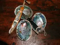 DSCF0001.webp