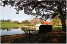 IMG_0075 bench at pond.webp