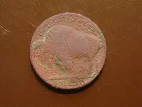 buffalo_b.webp