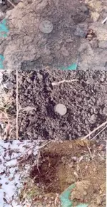Large Cents One at 14.webp