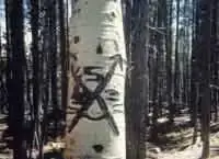 post7.webp