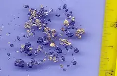 nuggets2.webp
