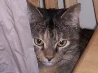 000_0076.webp