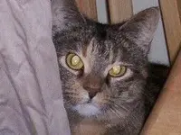 000_0077.webp
