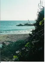 17.webp