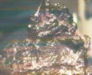 cop closeup 2.webp
