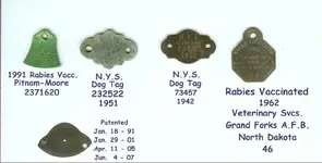 Dog tags.webp