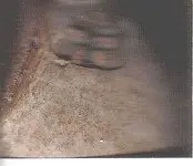 toopen.webp