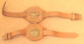 WO2-Wrist.webp