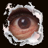 eye0009.gif