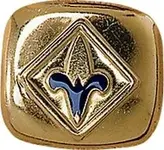 webelos.webp