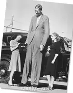 wadlow5.webp