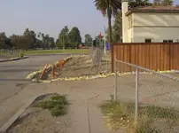 SIdewalk Demo.webp