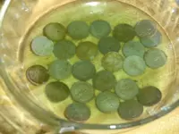 Dirty-Clean Clad 006.webp