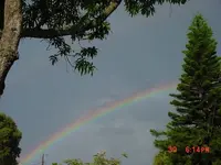 rbow.webp