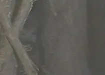 creature012406a.webp