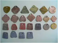 Dog tags back (600 x 450).webp