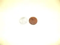 strangecoin2.webp