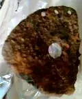 Image001.webp