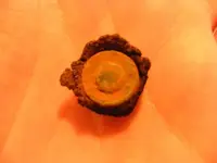 DSCF0589.webp