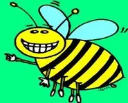 bee.webp bee.webp