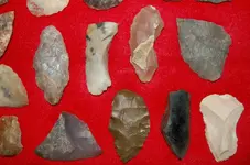 Montana Pieces7.webp