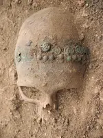 skull.webp