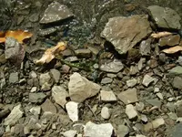 10_26_09 Insitu.webp
