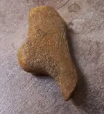 Bone tool 1c.webp