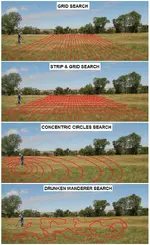 SEARCHES.webp